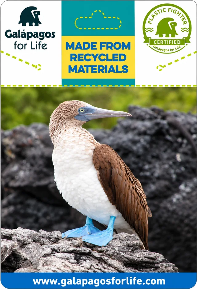 Illustrated bracelet card with a blue-footed booby on lava rock